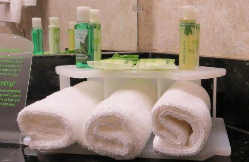 Bozeman Hotel | Holiday Inn Express & Suites Bozeman West by IHG