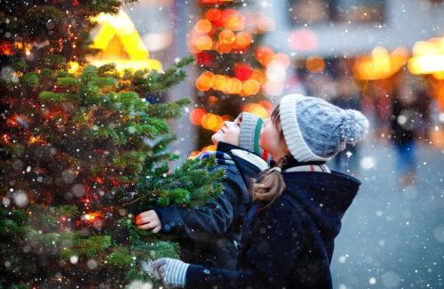 Konstanz-Industriegebiet Hotel | Holiday Inn - the niu, Flower Konstanz by IHG