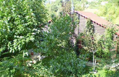 Dirfys-Messapia Ski Chalet | Holidays in the see and mountains