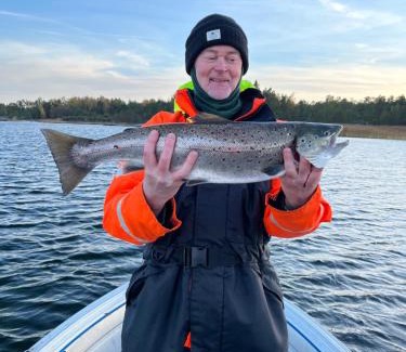 Eckero House | Holmströms stugor