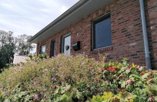 Sand House | Holunder Hüsken