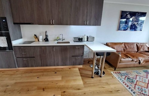 Puerto Varas Apartment | HOM I Depto 1D1B con estacionamiento incluido