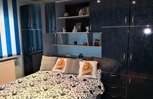 Petrila Apartment | Home away from home