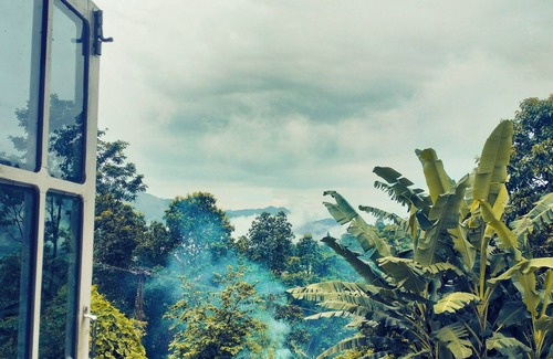 Kurseong Bed & Breakfast | Home in Sittong! Rooms available with Mountain View. Simple and Serene Stay