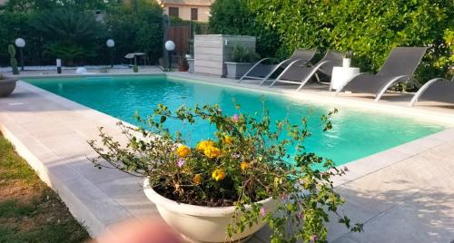 Campofelice di Roccella House | Home La Palmetta