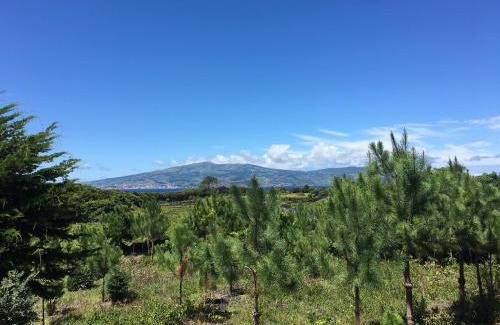 Madalena House | Home Pico - Casa dos Cedros (Alojamento local)