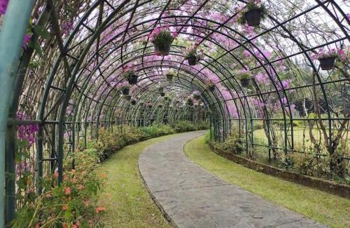 Situbondo House | Home stay bunga