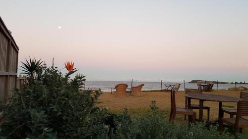 Narrabeen Apartment | Homely Beachfront Apartment with Direct Beach Access - The Coachhouse