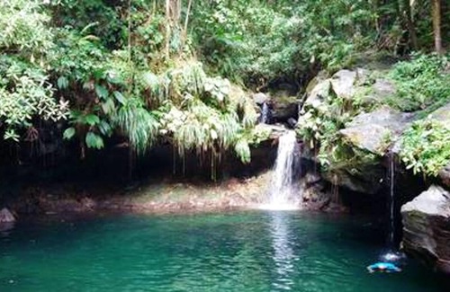 Capesterre-Belle-Eau Apartment | Homerez - Apartment 3 km from the beach for 2 pers. in Capesterre-Belle-Eau