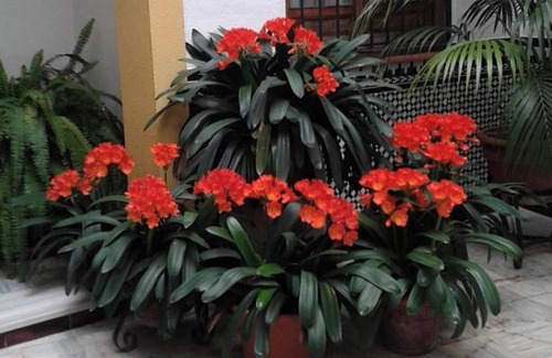 La Trinidad-San Juan y Todos los Santos Apartment | Homerez - Apt, Central Córdoba.