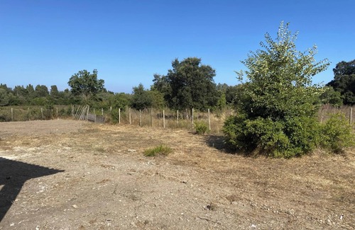 Serra-di-Fiumorbo House | Homerez - Charming House in Serra-Di-Fiumorbo with garden