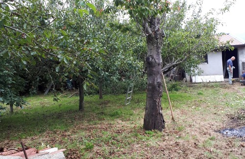 Scilla House | Homerez - Comfortable House in Solano Superiore with Garden