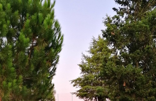 Satao Villa | Homerez - Spacious villa 8 km away from the beach for 8 ppl. with swimming-pool