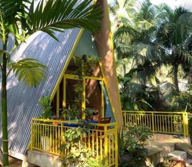 Ben Tre Bed & Breakfast | Homestay and Tour Ben Tre