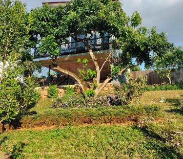 Bao Loc Hotel | Homestay hichi bảo Lộc