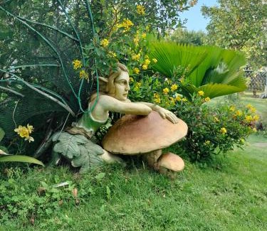 Bao Loc Hotel | Homestay hichi bảo Lộc