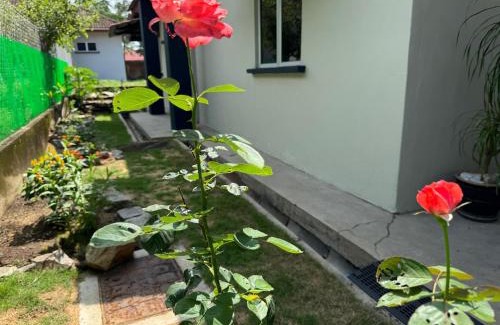 Kampung Bakau Tinggi House | Homestay Kemaman - Berado D Kemuning