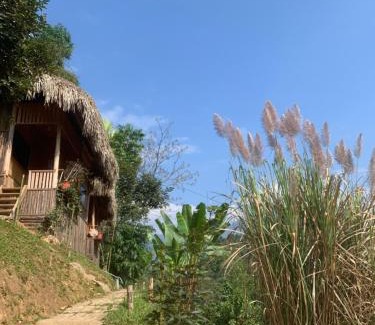 Thong Nguyen Cabin | Homestay Khoáng nóng Thông Nguyên