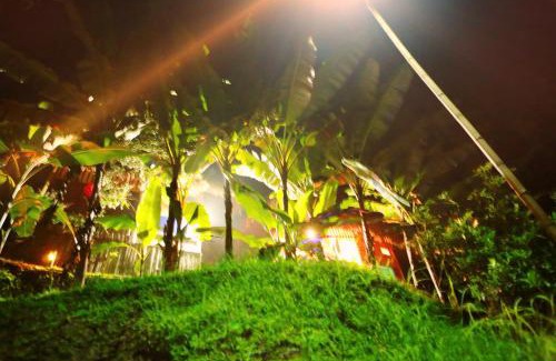 Thong Nguyen Cabin | Homestay Khoáng nóng Thông Nguyên