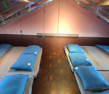 Da Lat House | Homestay Nhà Ven Rừng