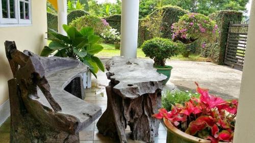 Tupong Tengah House | Homestay Petrajaya Kuching