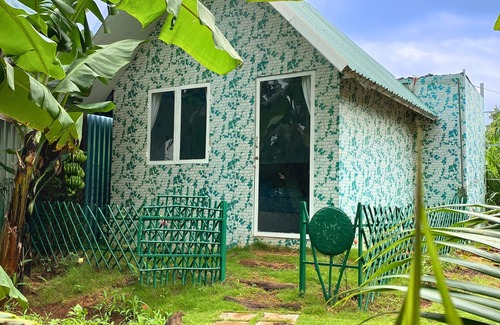 Buon Ma Thuot House | Homestay Xóm Rau Tn Hưng Không Gian Bình yên Xanh mát