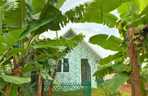 Buon Ma Thuot House | Homestay Xóm Rau Tn Hưng Không Gian Bình yên Xanh mát