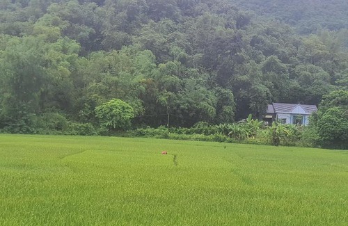 Mai Chau Apartment | Homestays Gia Hưng