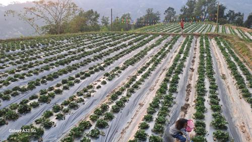 Hoang Su Phi House | Hommestay Người Nùng