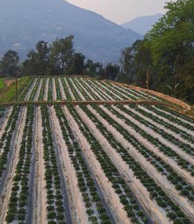 Hoang Su Phi House | Hommestay Người Nùng