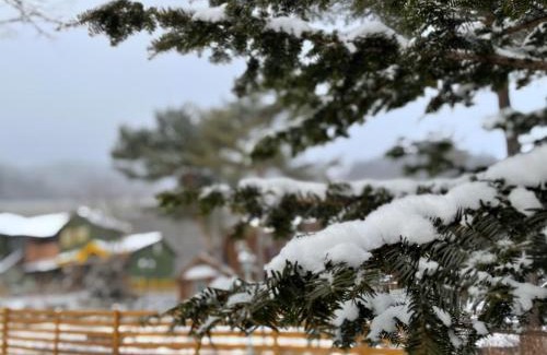 Bongpyeong House | Honey Bear Pension