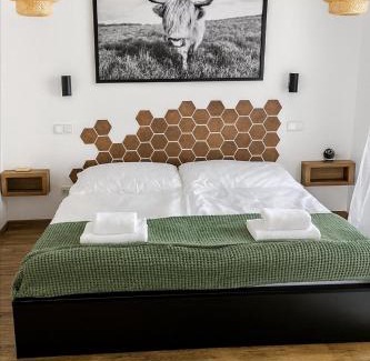 Chlum Apartment | Horizont Šumava