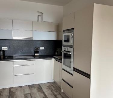 Vitkovice Apartment | Horní Mísečky 437-101