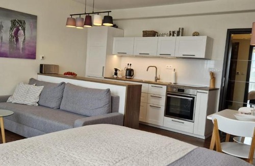 Vitkovice Apartment | Horní Mísečky -C1 apartmán u sjezdovky