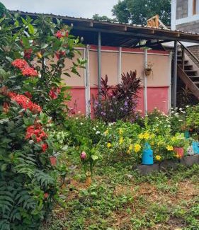 Altagracia House | Hospedaje Bananas