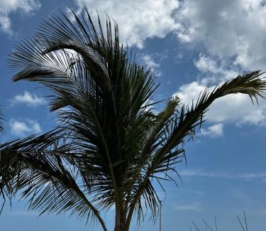 Manaure Hotel | Hospedaje Palaaijat