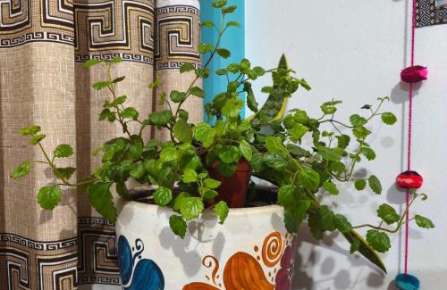 Cusco Bed & Breakfast | Hospedaje Qoricha'skas Airport