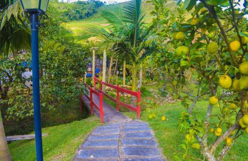 Sao Jose do Ribeirao Hotel | Hospedaria Rancho Ferreira