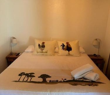 Palmilla House | Hostal Campo Divino