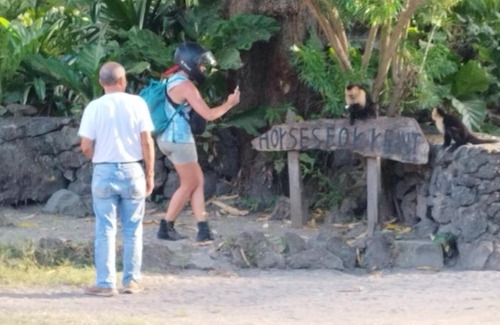 Santo Domingo House | Hostal Inculta Be Live