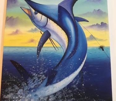 San Juan del Sur House | Hostal Javier's House sjs