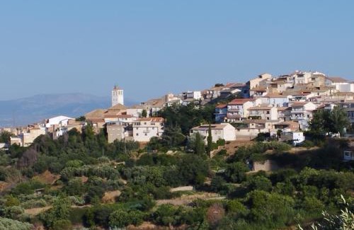 Cogollos de la Vega House | Hostal Nazarí