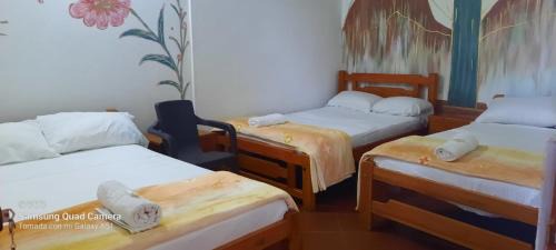Guadalupe House | Hostal posada San jose