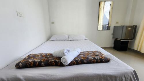 San Luis House | Hostal SHELTER LA PERLA - San luis, Antioquia, Colombia