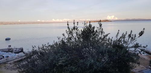 Yumani House | Hostal Utama