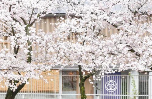 Chuo Hostel | Hostel Mitsuwaya Osaka