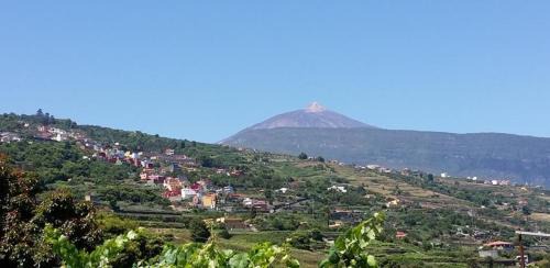 La Orotava Hostel | Hostel Orotava