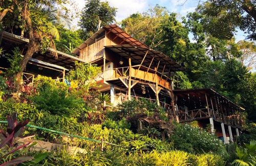 El Cerro Hostel | Hostel Plinio