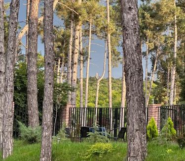 Telavi House | Hotel უცხო-utskho