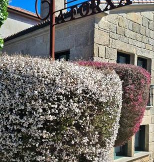 Nogueira de Ramuin Hotel | Hotel A Forxa Cafetería Restaurante